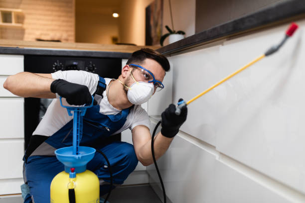 Wasp Removal Services in Bradley, WV