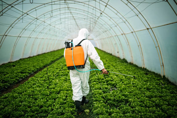Reliable Bradley, WV Pest Control Solutions