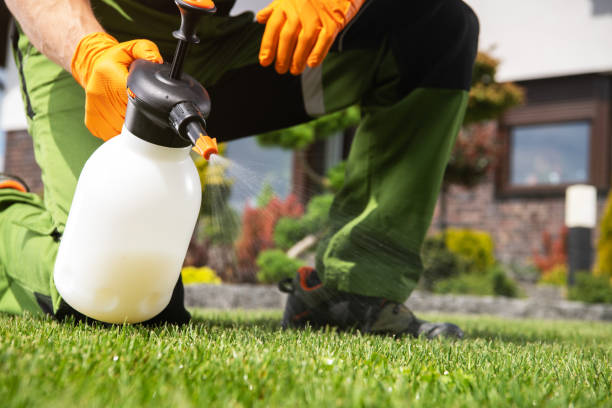 Best Best Pest Control Companies  in Bradley, WV