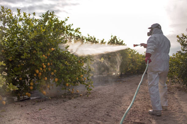 Insect Control in Bradley, WV