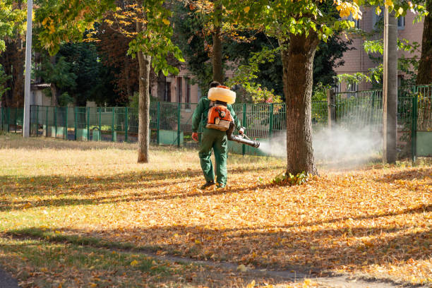 Best Pest Control for Restaurants  in Bradley, WV